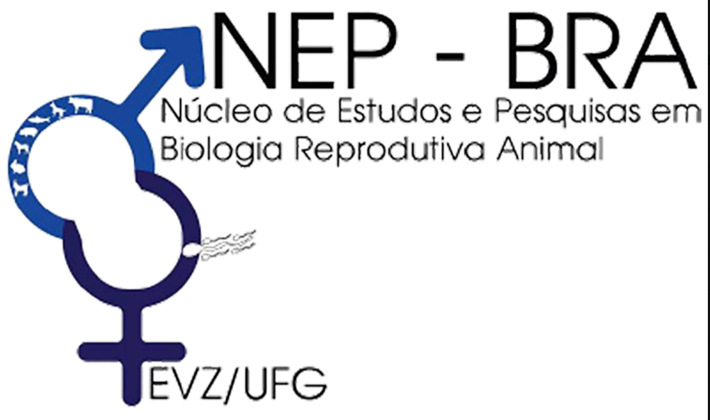 NEP–BRA · EVZ/UFG